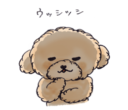 Lili of Toy Poodle sticker #8600374