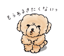 Lili of Toy Poodle sticker #8600376