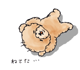 Lili of Toy Poodle sticker #8600377