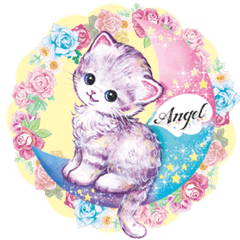 Lovely fashionable cats