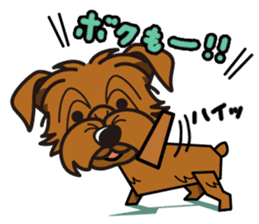 iinu - Norfolk Terrier sticker #8601179