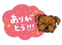 iinu - Norfolk Terrier sticker #8601180