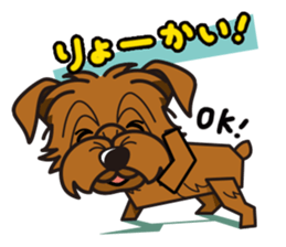 iinu - Norfolk Terrier sticker #8601182