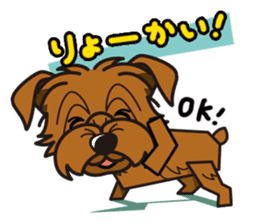 iinu - Norfolk Terrier sticker #8601182