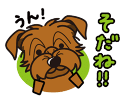 iinu - Norfolk Terrier sticker #8601183