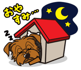iinu - Norfolk Terrier sticker #8601185