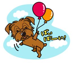 iinu - Norfolk Terrier sticker #8601186