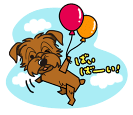 iinu - Norfolk Terrier sticker #8601186