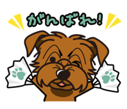 iinu - Norfolk Terrier sticker #8601187