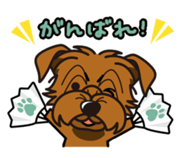iinu - Norfolk Terrier sticker #8601187
