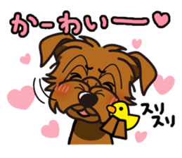 iinu - Norfolk Terrier sticker #8601190