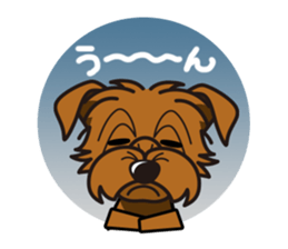 iinu - Norfolk Terrier sticker #8601192