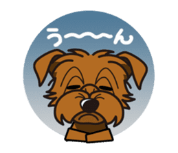 iinu - Norfolk Terrier sticker #8601192