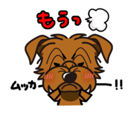 iinu - Norfolk Terrier sticker #8601193