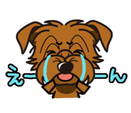 iinu - Norfolk Terrier sticker #8601194
