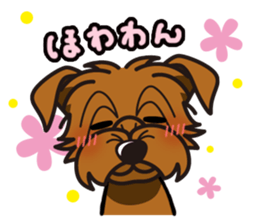 iinu - Norfolk Terrier sticker #8601196