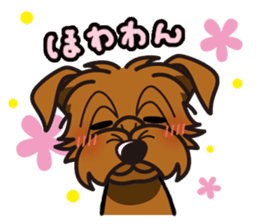iinu - Norfolk Terrier sticker #8601196