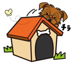 iinu - Norfolk Terrier sticker #8601204