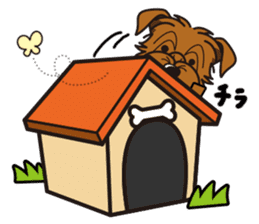 iinu - Norfolk Terrier sticker #8601204