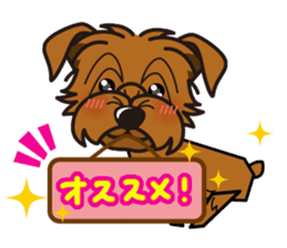 iinu - Norfolk Terrier sticker #8601206