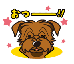 iinu - Norfolk Terrier sticker #8601208