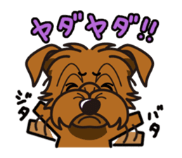 iinu - Norfolk Terrier sticker #8601211