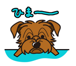 iinu - Norfolk Terrier sticker #8601212
