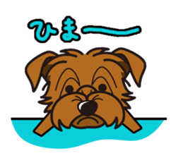iinu - Norfolk Terrier sticker #8601212
