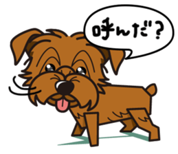 iinu - Norfolk Terrier sticker #8601213