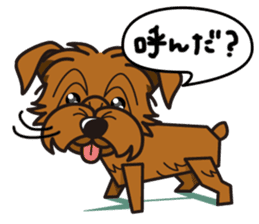 iinu - Norfolk Terrier sticker #8601213