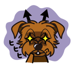 iinu - Norfolk Terrier sticker #8601214
