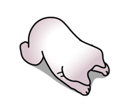 Cats are routinely estrus sticker #8601976