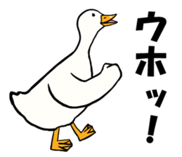 Mr. duck sticker part5 sticker #8604370