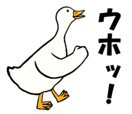 Mr. duck sticker part5 sticker #8604370