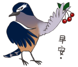 Taiwan birds sticker #8606620