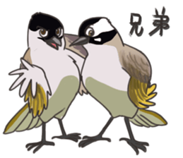 Taiwan birds sticker #8606631