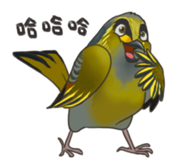 Taiwan birds sticker #8606632