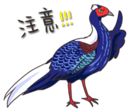 Taiwan birds sticker #8606635