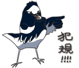 Taiwan birds sticker #8606636