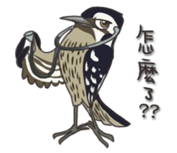 Taiwan birds sticker #8606637