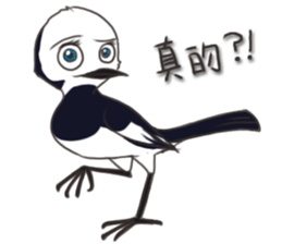 Taiwan birds sticker #8606638