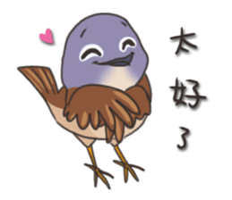 Taiwan birds sticker #8606642