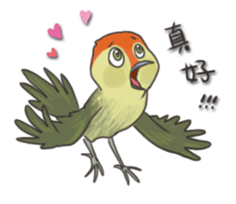 Taiwan birds sticker #8606643