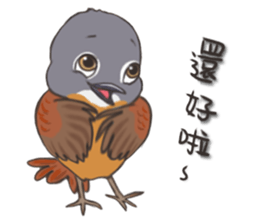 Taiwan birds sticker #8606646
