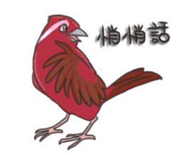Taiwan birds sticker #8606647