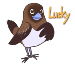 Taiwan birds sticker #8606652