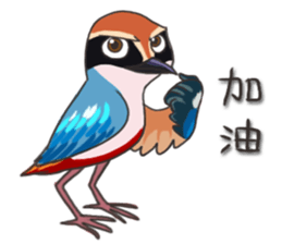 Taiwan birds sticker #8606657