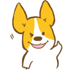 corgi taro