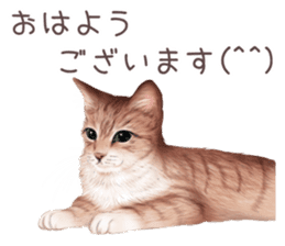 zumo cats sticker vol.3 (Japanese) sticker #8608378