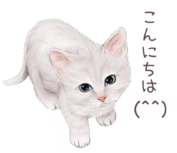 zumo cats sticker vol.3 (Japanese) sticker #8608379